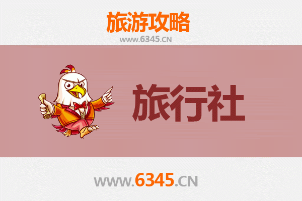 陇南西和旅游攻略：本地旅行社推荐与深度游玩指南